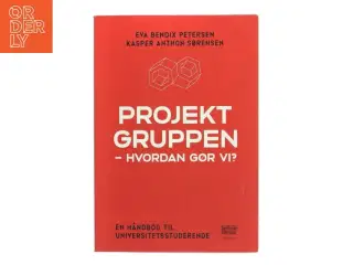 Projektgruppen - Hvordan gør vi? af Eva Bendix Petersen (Bog)