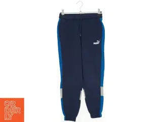 Puma sweatpants (str. 140 cm)
