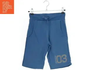 Blå Shorts fra Dognose (str. 140)