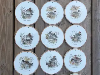 Platter Mads Stage