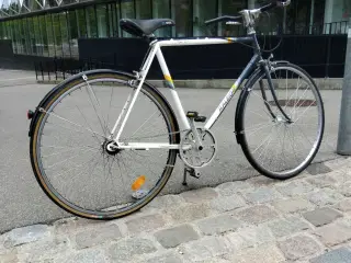Raleigh 