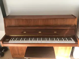 Klaver, valnød