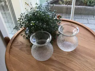 Ældre hyacintglas i klar glas