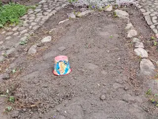 Mellemstore havesten bortgives 
