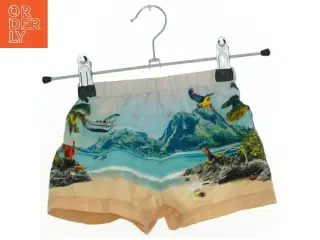 Badebukser fra Molo (str. 68 cm)