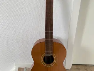 Manuel Rodriguez E Hijos  classical guitar