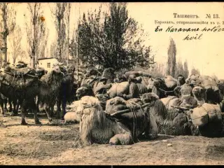 Tasjkent - En Karavane som går til Vernyj (Nuværende Almaty Kasakhstan ) - Brugt