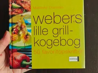 Webers lille grill kogebog