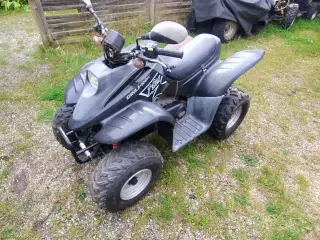 Dinli 100 ccm ATV 