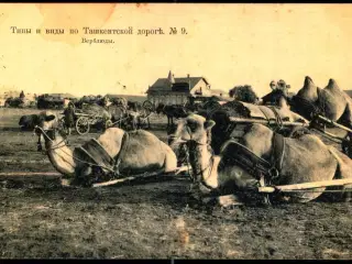 Langs Vejen til Tasjkent - Kameler - Brugt