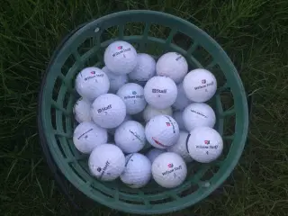 Golfbolde, Wilson