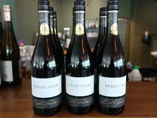 8 flasker Rødvin Famille Castan Pinot Noir 2024