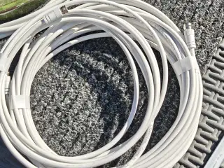 Parabol Technisat