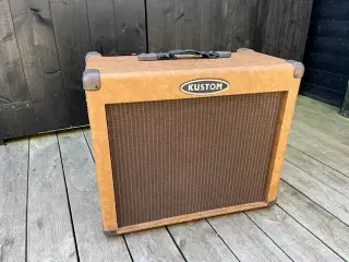 Forstærker til mikrofon og instrument