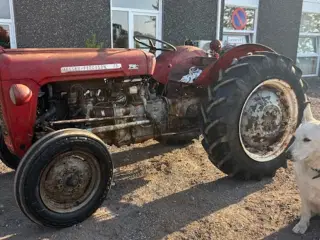 Massey Ferguson 35 benzin