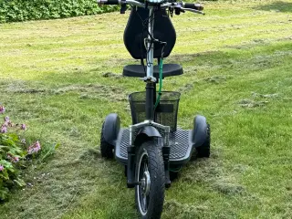 Gåscooter 