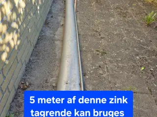 Zink tagrende 