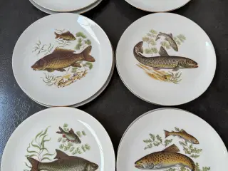 Frokosttallerkner med fiskemotiv