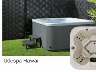 Udespa Hawaii