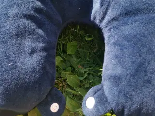 Nakke pude 3 kr 🌸