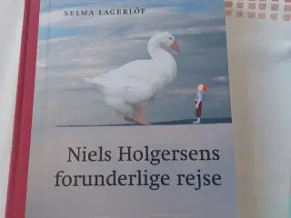 Niels Holgersens Forunderlige rejse