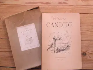 Voltaire, Candide eller optimismen