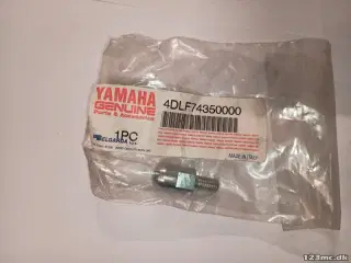 Yamaha BOLT
