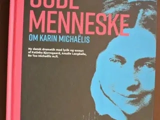 jagten på det gode menneske om karin michaëlis, af