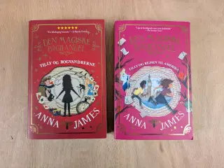 Den Magiske Boghandel