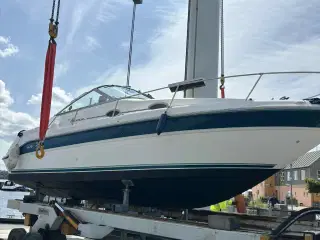 Sea Ray 270 Sundancer til ny stærk pris!