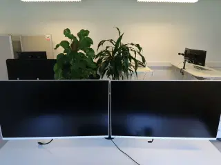 2 stk. Samsung S32AM501NU skærm - LED baglys - 32"