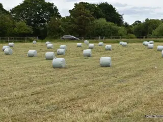Wraphø