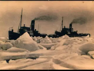 Nyborg  1928 - Fotokort u/n  - Ubrugt