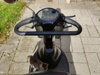 El scooter med overdækning til