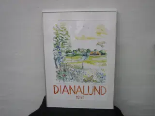 DIANALUND Til Fornuftig Pris