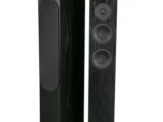 Højttaler DLS R55