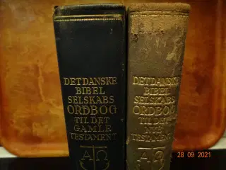 Bibelordbøger Gl. og Ny Testamente (Antikvarisk).