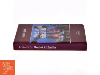 Ved et tilfælde : roman af Anita Grün (Bog)