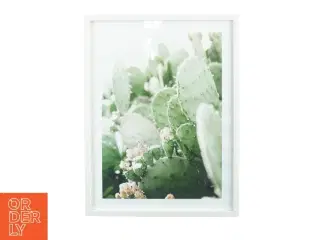 Plakat og billedramme (str. 42 x 32 cm)