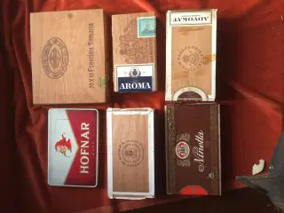 Cigar æsker