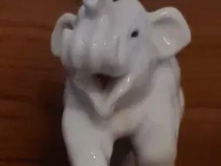 Royal cobehagen Baby elefant