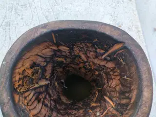 Djembe