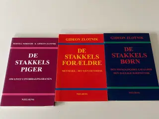 Fagbøger af Gideon Zlotnik