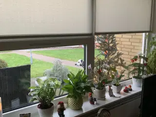 4 stk Faber rullegardiner som nye gi et bud 🧚