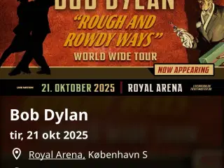 Bob Dylan koncertbilletter 