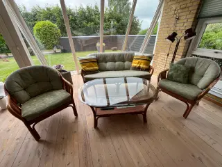 Kurvemøbelsæt glasbord, sofa og 2 stole