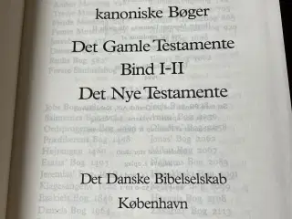 Bibelen 1-3. Med stor skrift