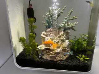 Biorb akvarie (15 L)