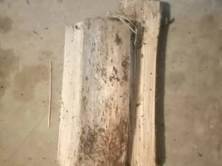 Brænde fyr og gran i sække a Ca. 10 kg