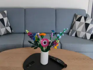 Sofa med sæbebehandlet bøgeben